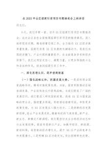 在2025年全区招商引资项目专题推进会上的讲话
