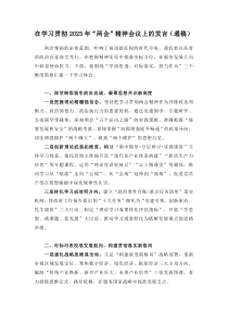 在学习贯彻2025年“两会”精神会议上的发言（通稿）