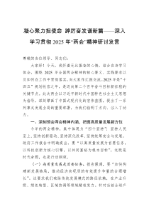 凝心聚力担使命+踔厉奋发谱新篇——深入学习贯彻2025年“两会”精神研讨发言