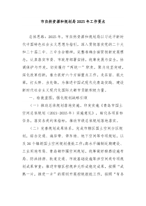 市自然资源和规划局2025年工作要点