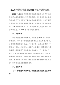 2025年国企党支部2025年工作计划文稿