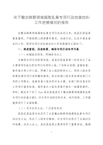 关于整治殡葬领域腐败乱象专项行动自查自纠工作进展情况的报告两篇
