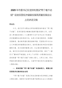 2025年市委书记在坚持和落实“两个毫不动摇” 促进民营经济健康发展高质量发展会议上的讲话文稿
