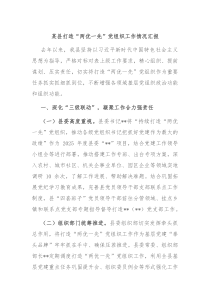 某县打造“两优一先”党组织工作情况汇报