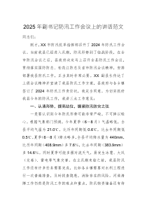 2025年副书记防汛工作会议上的讲话范文