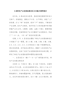 X县特色产业发展助推老区乡村振兴调研报告