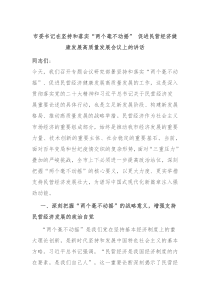 市委书记在坚持和落实“两个毫不动摇” 促进民营经济健康发展高质量发展会议上的讲话