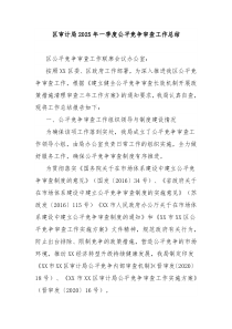 区审计局2025年一季度公平竞争审查工作总结