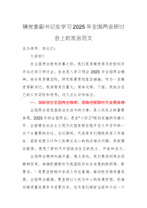 党委副书记在学习2025年全国两会研讨会上的发言范文