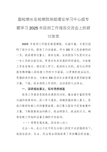 副检察长在检察院党组理论学习中心组专题学习2025年政府工作报告交流会上的研讨发言范文