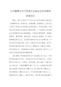 公司董事长学习民营企业座谈会讲话精神感悟范文