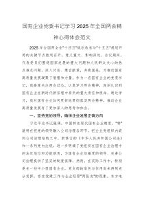 国有企业党委书记学习2025年全国两会精神心得体会范文