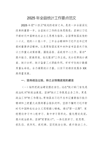 2025年全县统计工作要点范文