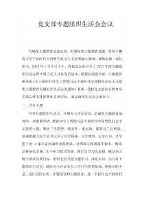 党支部专题组织生活会会议
