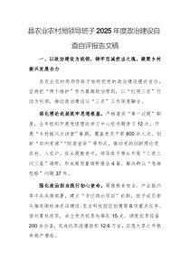 农业农村主管部门领导班子2025年度政治建设自查自评报告文稿